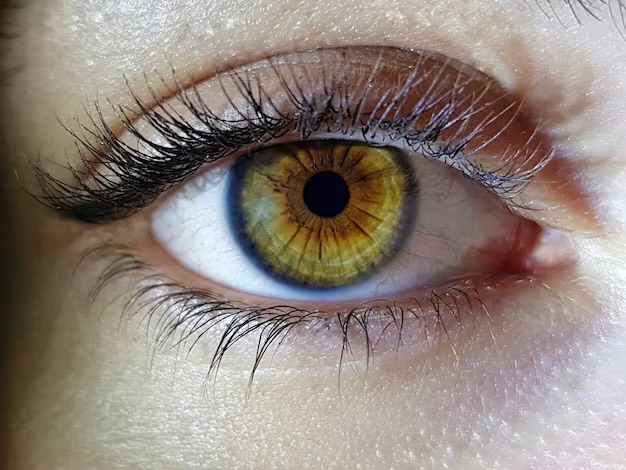 IMG_7627 IRIS